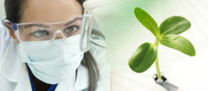 Nace BioSim, la Asociación Española de Biosimilares